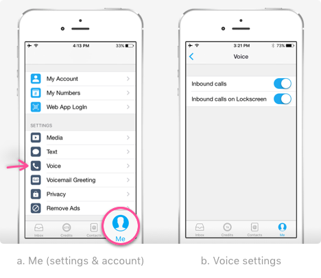 TM-iOS-Settings-Voice.png